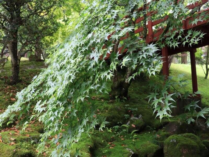 Yumoto Ueyama Ryokan Himeji Luaran gambar